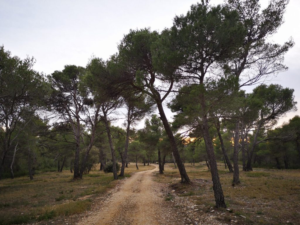 IMG_20210129_164842 Murs Parc Naturel Regional du Luberon