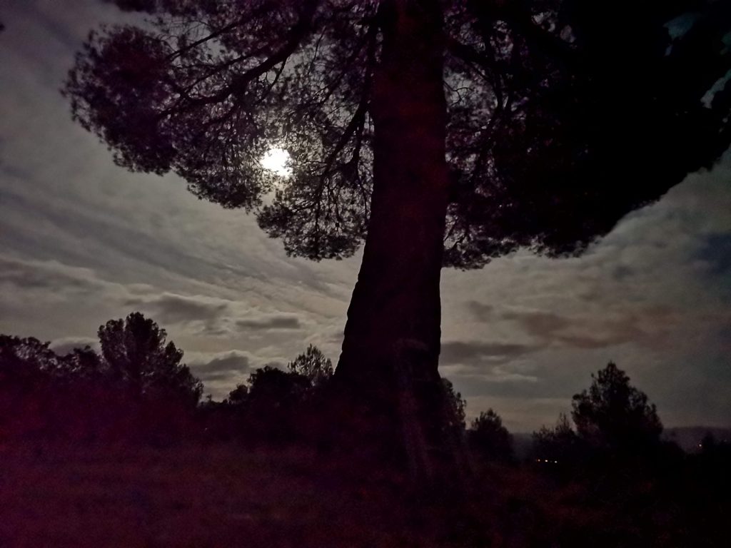 IMG_20210129_211252 Full moon in Murs The Luberon