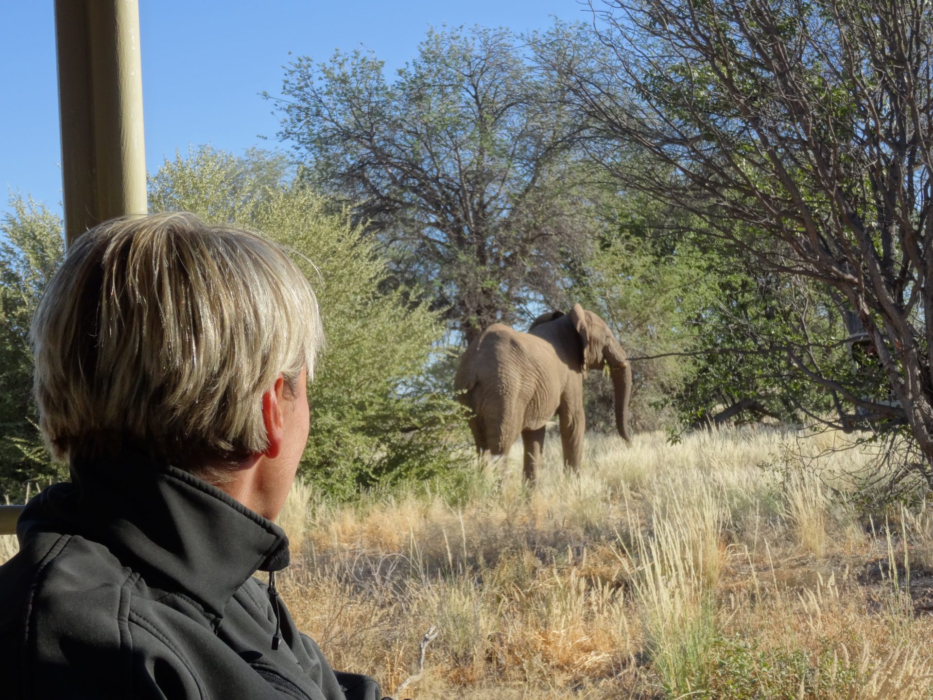 Jo Knight with a desert elephant Camp Kipwe Namibia